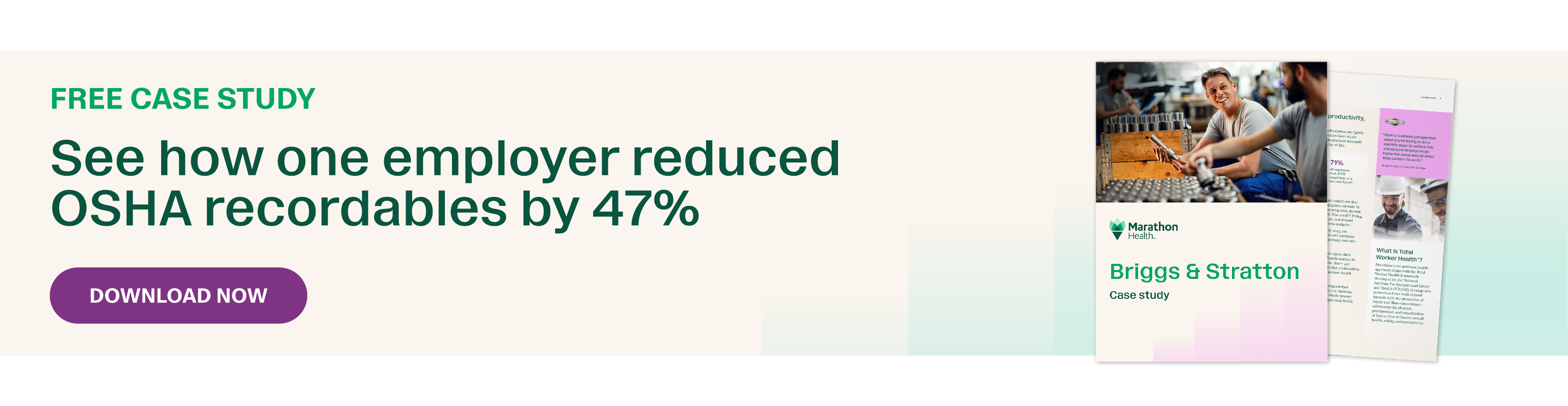 Total Worker Health Case Study