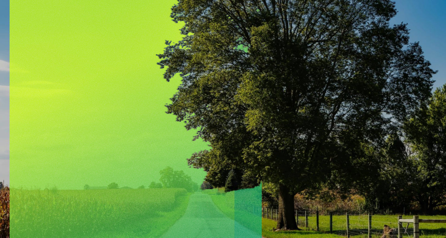 Rural countryside scene with a large tree, grassy fields, a fence, and a bright green graphic overlay against a blue sky